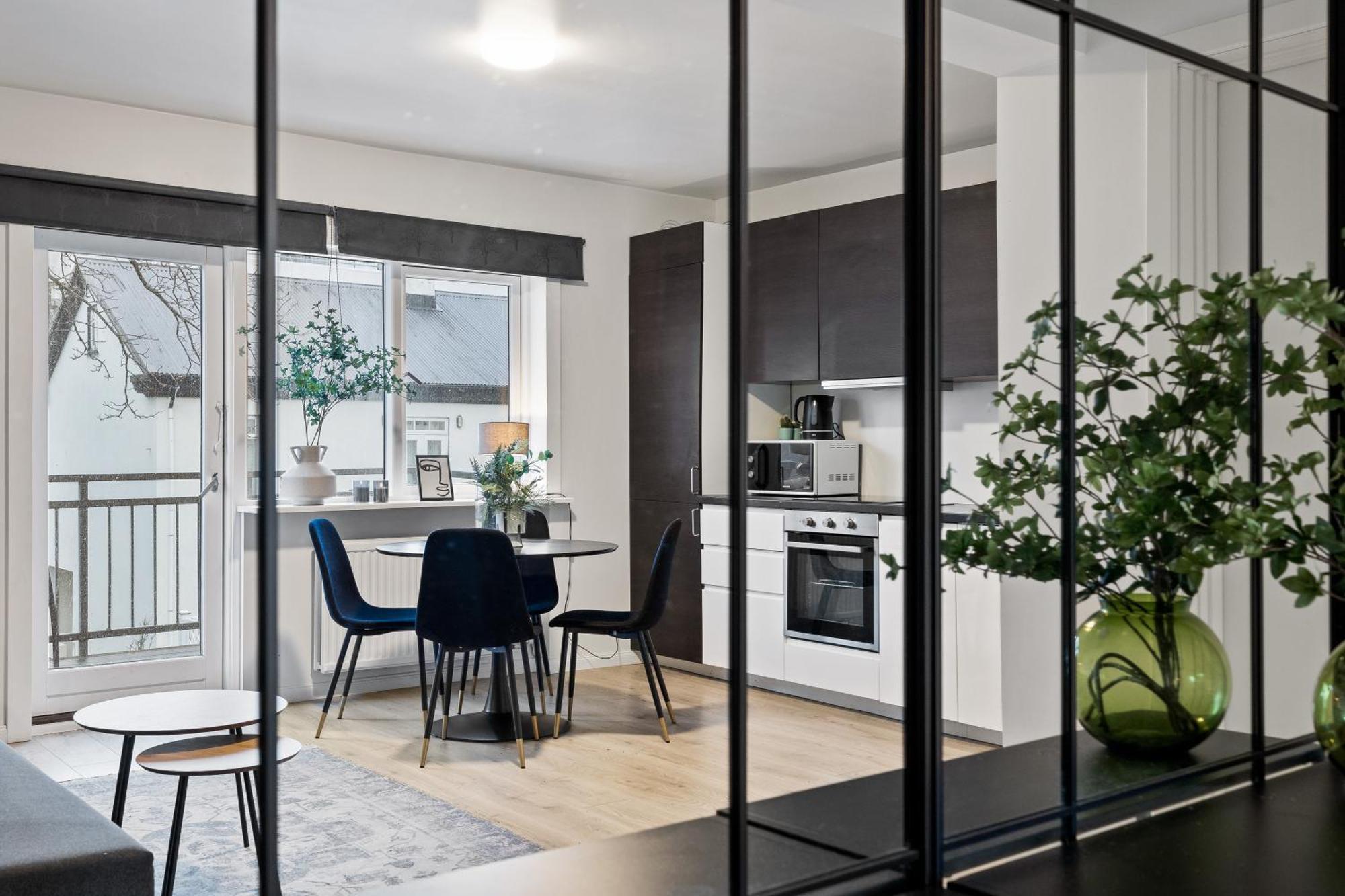 Cozy And Central Apartment Reykjavik Exterior photo